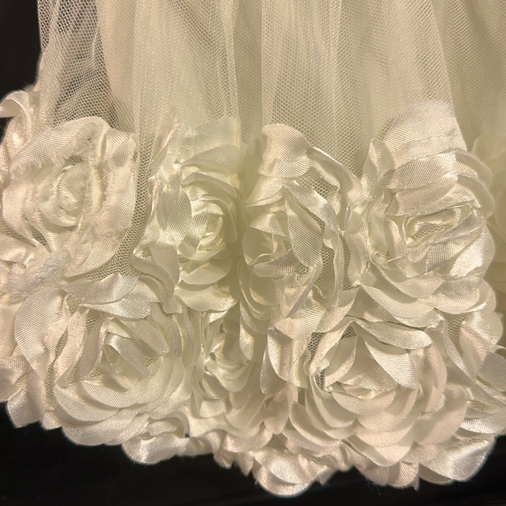 Off white Ruffled dress with rosettes on the bottom button up back 6-9 months - Picture 10 of 10